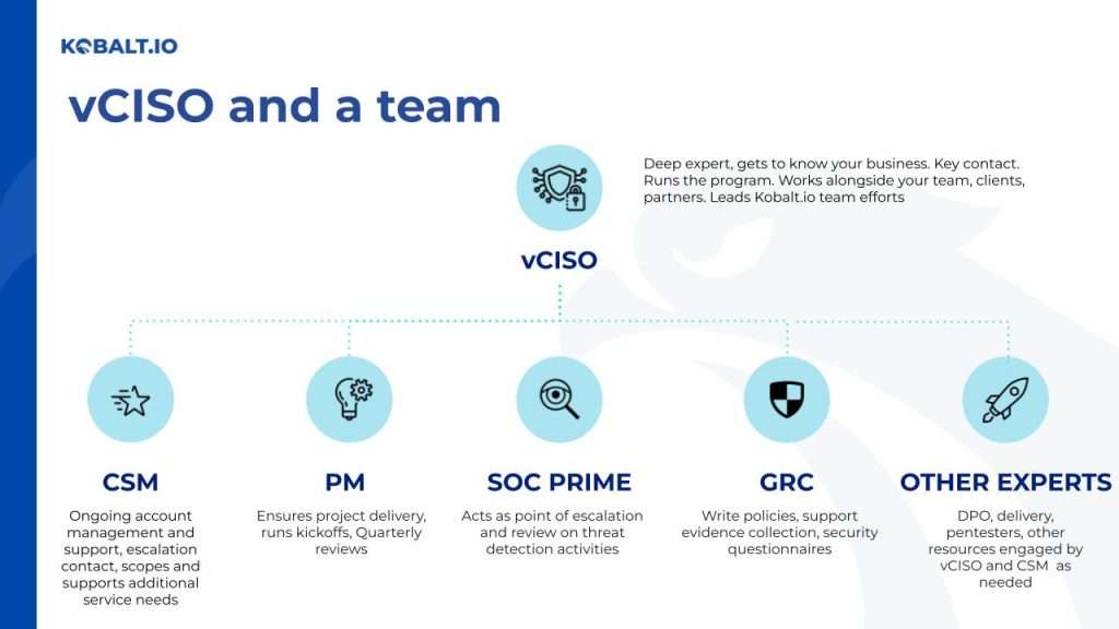 vCISO and team